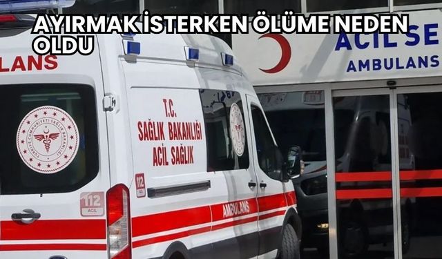 Ayırmak İsterken Ölüme Neden Oldu