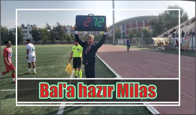 Bal’a hazır Milas