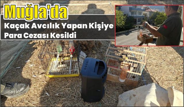 Muğla'da kaçak avcılık yapan kişiye para cezası kesildi