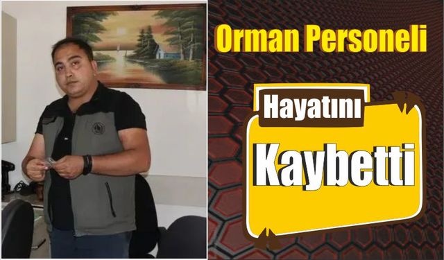 Orman Personeli Hayatını Kaybetti