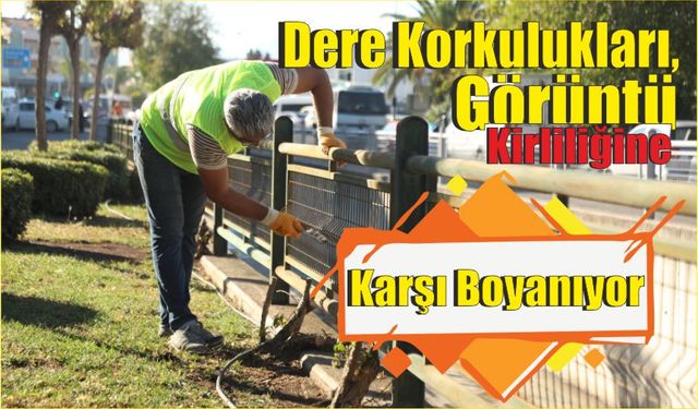 Dere Korkulukları, Görüntü Kirliliğine Karşı Boyanıyor