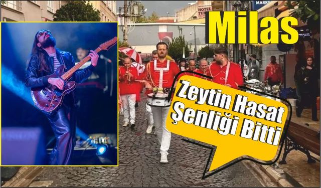 Milas Zeytin Hasat Şenliği Bitti