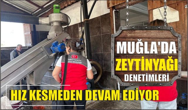 Muğla’da zeytinyağı denetimleri hız kesmeden devam ediyor