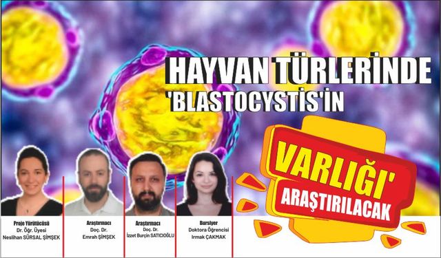 Hayvan türlerinde ‘Blastocystis’in Varlığı’ araştırılacak