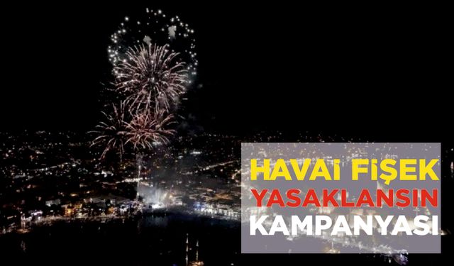 HAVAİ FİŞEK YASAKLANSIN KAMPANYASI