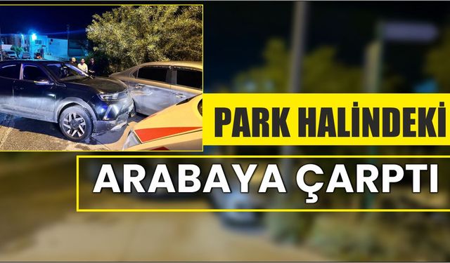 Park halindeki arabaya çarptı