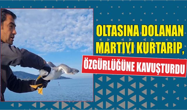 Oltasına dolanan martıyı kurtarıp, özgürlüğüne kavuşturdu