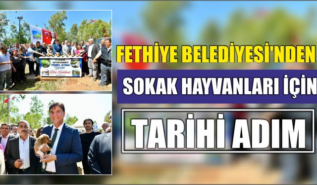 Fethiye Belediyesi’nden Sokak Hayvanları İçin Tarihi Adım