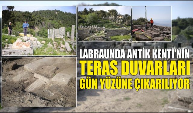 Labraunda Antik Kenti'nin teras duvarları gün yüzüne çıkarılıyor