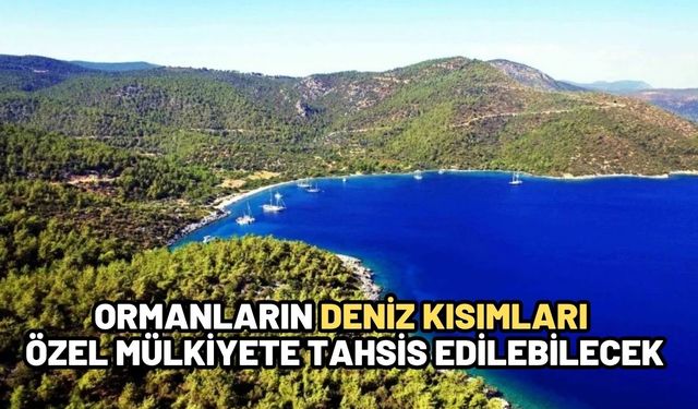 Ormanların deniz kısımları özel mülkiyete tahsis edilebilecek