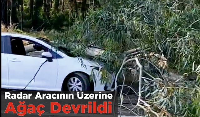 Radar Aracının Üzerine Ağaç Devrildi