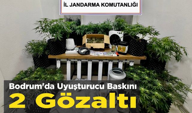 Bodrum'da Uyuşturucu Baskını: 2 Gözaltı