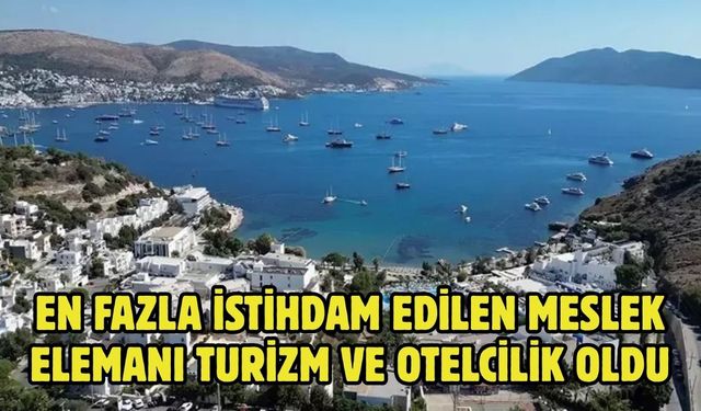 EN FAZLA İSTİHDAM EDİLEN MESLEK ELEMANI TURİZM VE OTELCİLİK OLDU