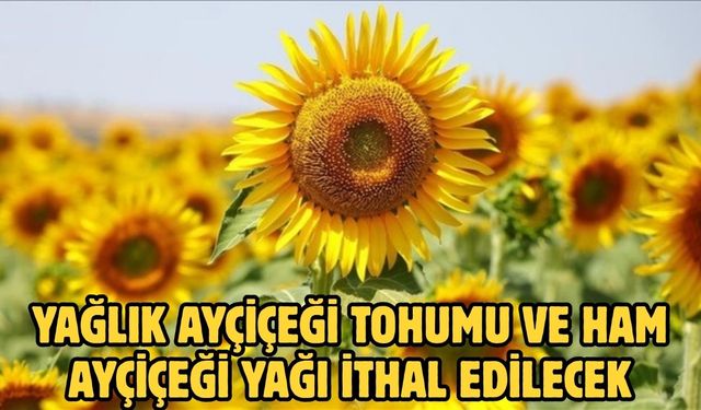Yağlık ayçiçeği tohumu ve ham ayçiçeği yağı ithal edilecek