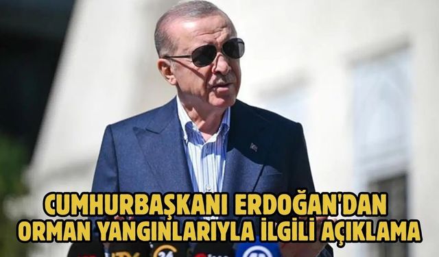 Cumhurbaşkanı Erdoğan'dan orman yangınlarıyla ilgili açıklama