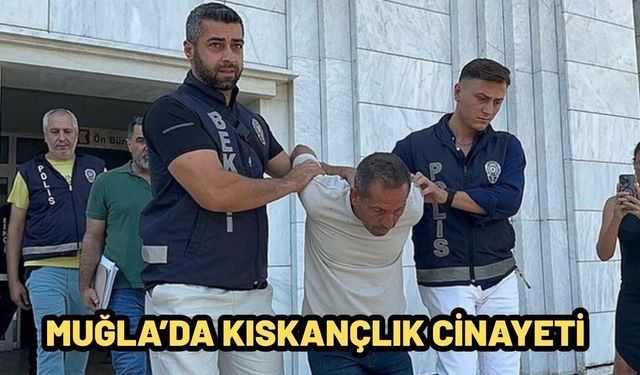 İç sesi deşifre eden beyin çipi geliştirildi