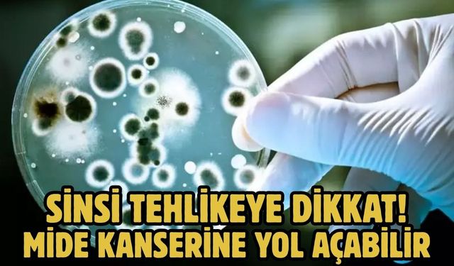 Sinsi Tehlikeye Dikkat! MİDE KANSERİNE YOL AÇABİLİR