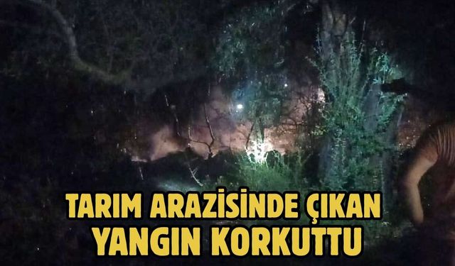 Tarım Arazisinde Çıkan Yangın Korkuttu