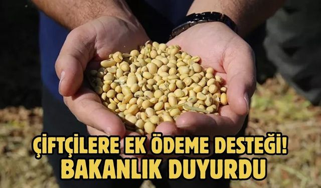 Çiftçilere ek ödeme desteği! Bakanlık duyurdu