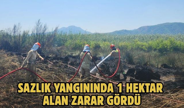 Sazlık yangınında 1 hektar alan zarar gördü