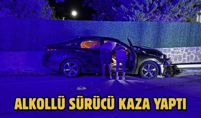Alkollü Sürücü Kaza Yaptı