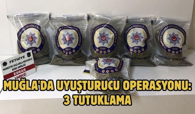 Muğla'da uyuşturucu operasyonu: 3 tutuklama