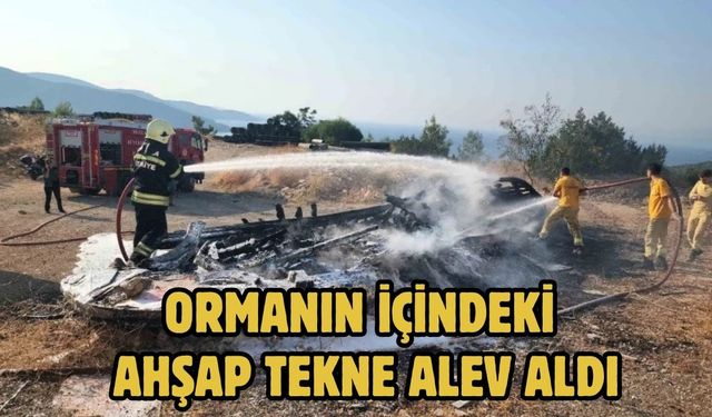 ORMANIN İÇİNDEKİ AHŞAP TEKNE ALEV ALDI