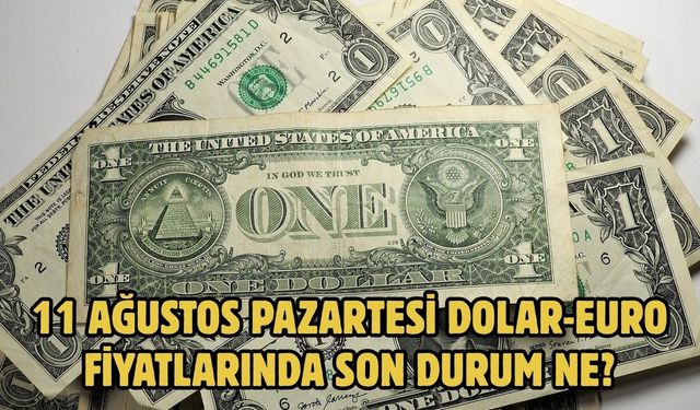 11 AĞUSTOS PAZARTESİ DOLAR-EURO FİYATLARINDA SON DURUM NE?