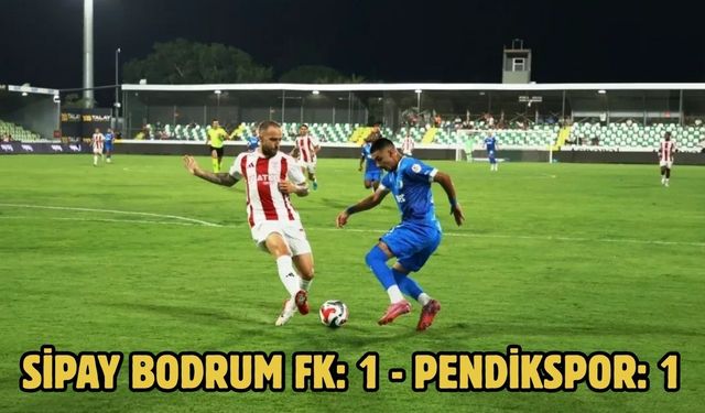 Sipay Bodrum FK: 1 - Pendikspor: 1