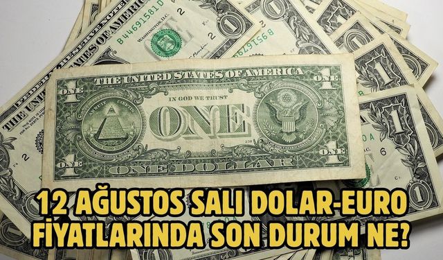 12 AĞUSTOS SALI DOLAR-EURO FİYATLARINDA SON DURUM NE?