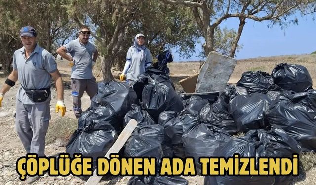 Çöplüğe Dönen Ada Temizlendi