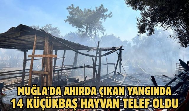 Muğla'da ahırda çıkan yangında 14 küçükbaş hayvan telef oldu