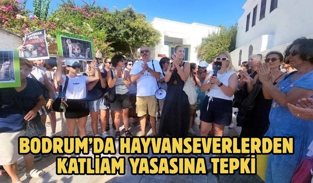 Bodrum’da hayvanseverlerden katliam yasasına tepki