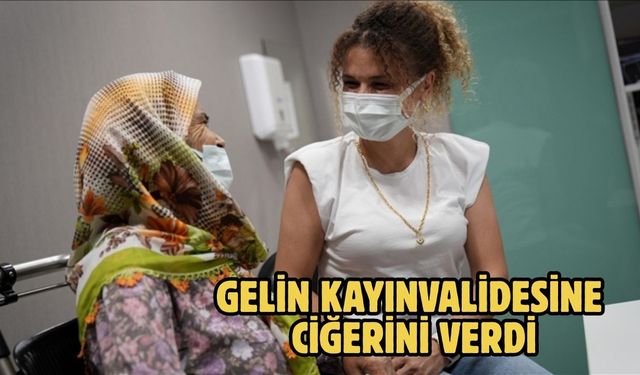 Gelin kayınvalidesine ciğerini verdi