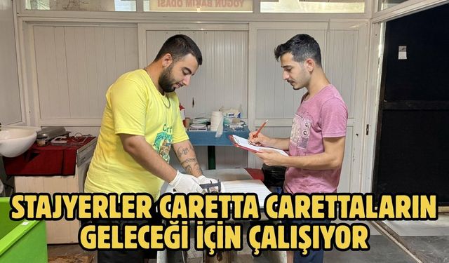 Stajyerler caretta carettaların geleceği için çalışıyor