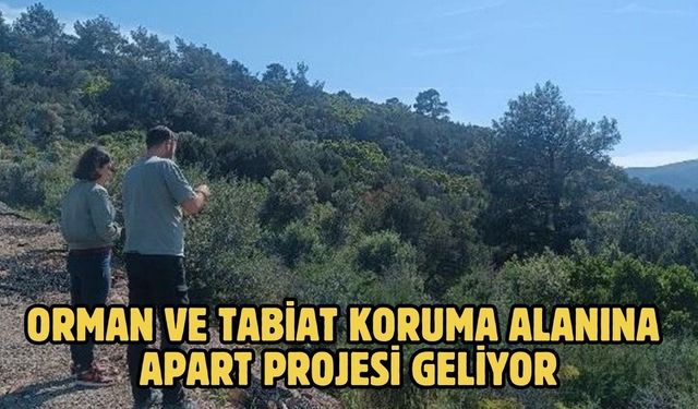 ORMAN VE TABİAT KORUMA ALANINA APART PROJESİ GELİYOR