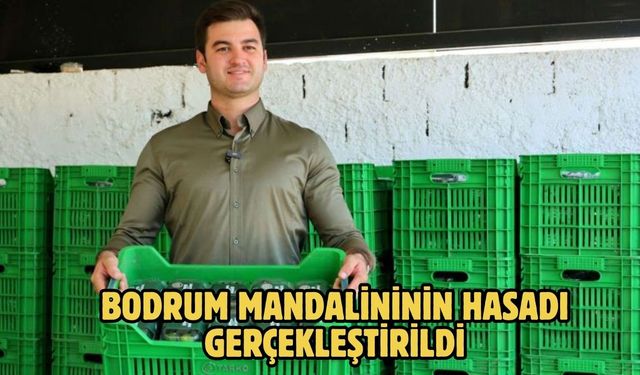 Bodrum mandalininin hasadı gerçekleştirildi
