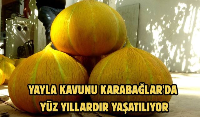 Yayla kavunu Karabağlar'da yüz yıllardır yaşatılıyor