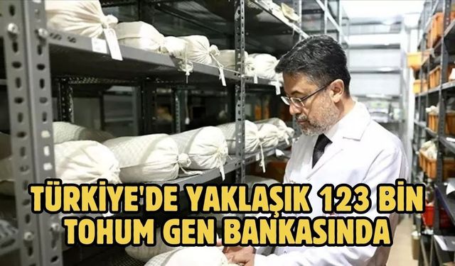 Türkiye'de yaklaşık 123 bin tohum gen bankasında