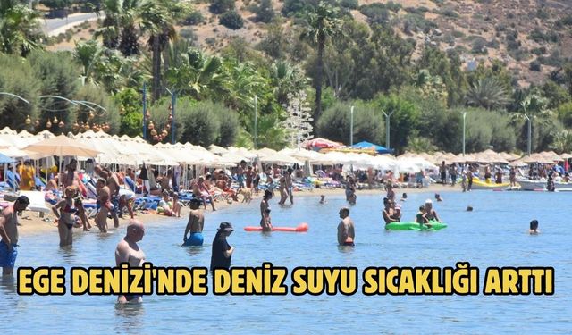 Ege Denizi'nde deniz suyu sıcaklığı arttı
