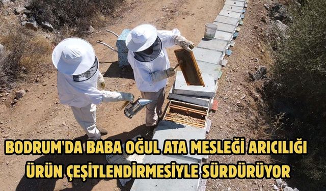 Bodrum'da baba oğul ata mesleği arıcılığı ürün çeşitlendirmesiyle sürdürüyor