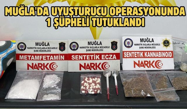 Muğla'da uyuşturucu operasyonunda 1 şüpheli tutuklandı
