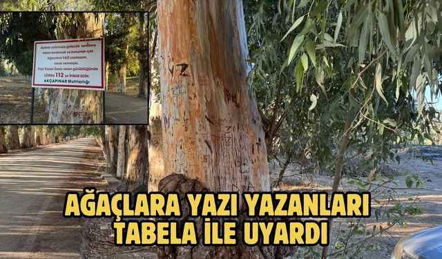 Ağaçlara yazı yazanları tabela ile uyardı