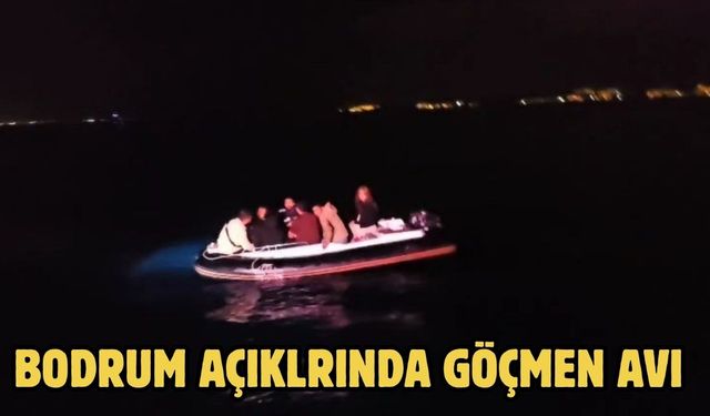 BODRUM AÇIKLRINDA GÖÇMEN AVI