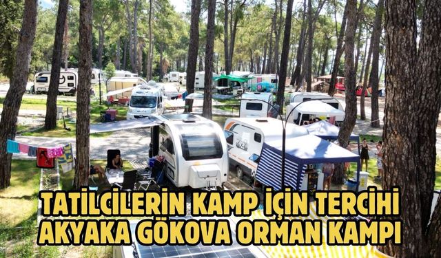 Tatilcilerin kamp için tercihi Akyaka Gökova Orman Kampı