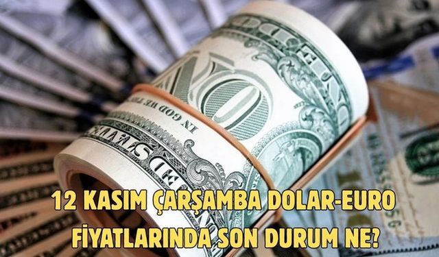 12 KASIM ÇARŞAMBA DOLAR-EURO FİYATLARINDA SON DURUM NE?