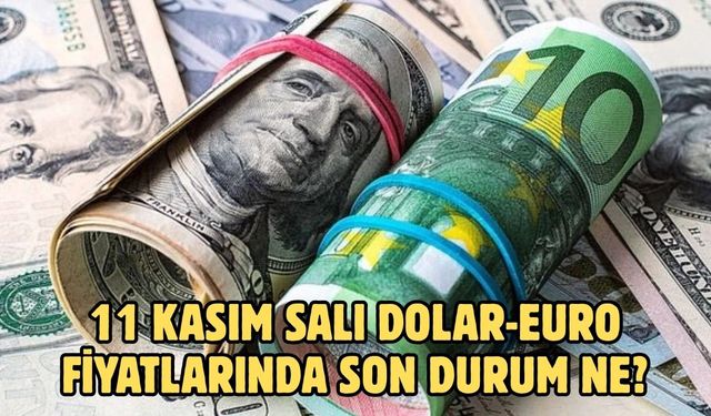 11 KASIM SALI DOLAR-EURO FİYATLARINDA SON DURUM NE?