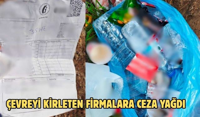 ÇEVREYİ KİRLETEN FİRMALARA CEZA YAĞDI