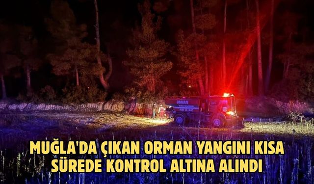 Muğla'da çıkan orman yangını kısa sürede kontrol altına alındı
