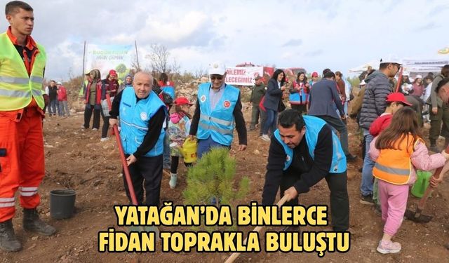 Yatağan’da binlerce fidan toprakla buluştu